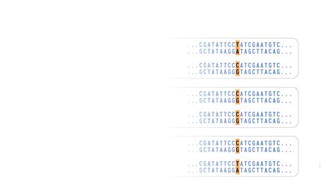 Single Nucleotide Polymorphisms (SNPs)