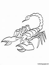 Scorpion Coloring Page Fun Easy Free To print sketch template