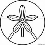Sand Dollars Clip Art sketch template