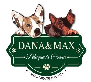 Dana & Max Logo