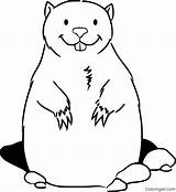Groundhog Coloring Pages 17 Free Printables  ColoringAll sketch template
