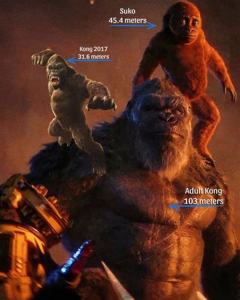 King Kong size comparison | Godzilla vs. Kong | Know Your Meme