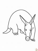 Anteater Coloring Pages Kids Alligator Color Printable Para Colorir  sketch template