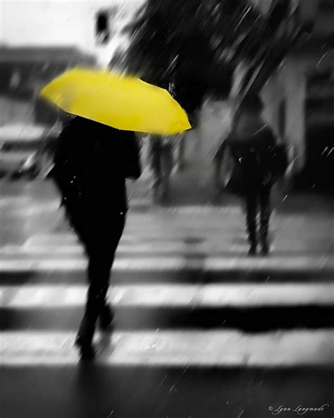 Yellow Umbrella Art Yellow Color Splash Canvas 16x20 Photography Rain Umbrella 11x14 Black and ...