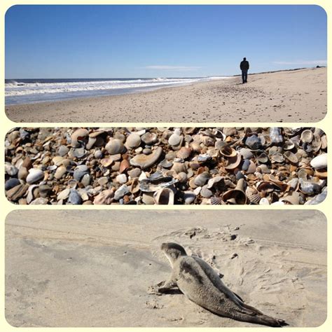 Avon, NC beach, just south of ramp 34 2/20/13. #capehatteras #hatterasisland #obx #offseason ...