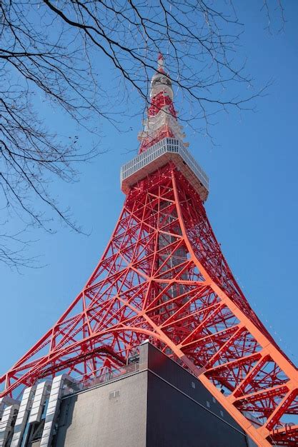 Premium Photo | Low angle view of tokyo tower