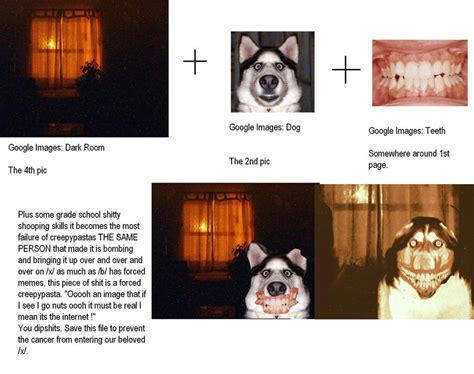 美国经典都市传说“微笑狗图片”的真相！....是的，就是这么简单。 - 哔哩哔哩