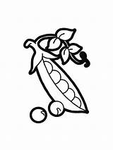 Peas Coloring Pages Page  AusmalbilderFurKinderde sketch template