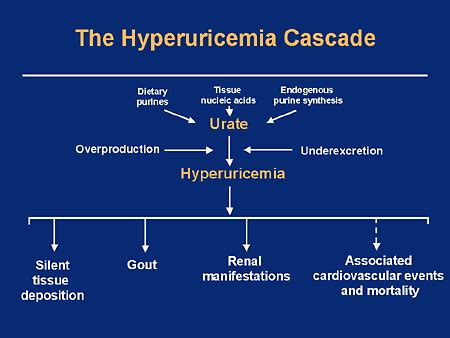 Hyperuricemia