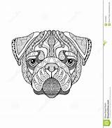 Pug Dog Zentangle Stylized Freehand Vector Illustration Stock  sketch template