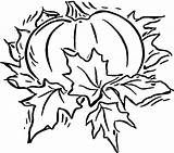 Free Printable Pumpkin Coloring Pages For Kids sketch template
