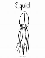 Squid Coloring Page  Twisty Noodle sketch template