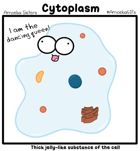 Cytoplasm (Dancing Queen) GIF by SarinaSunbeam on DeviantArt