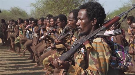 War in Ethiopia: Oromo Liberation Army advances towards Addis Ababa - Focus