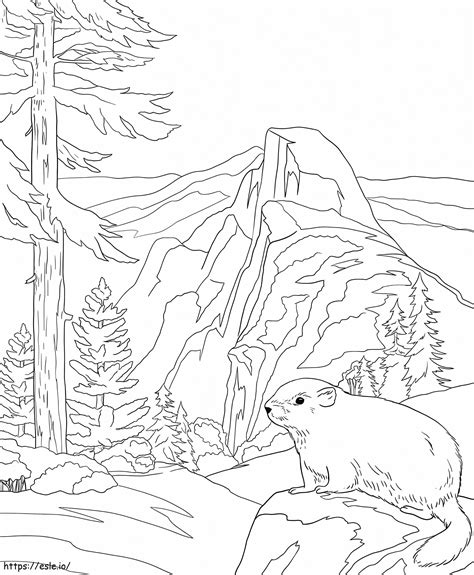 Yosemite National Park coloring page