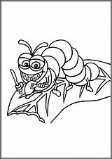 Caterpillar coloring Pages Free printable PDF  TotalColoringcom sketch template