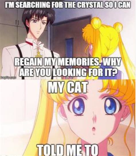 Pin by Andie Olsen on Anime | Sailor moon funny, Sailor moon, Anime funny