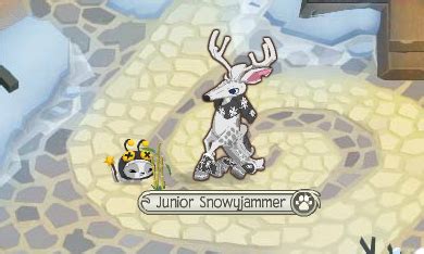 Animal Jam Spirit Blog: Rare Furry Hat