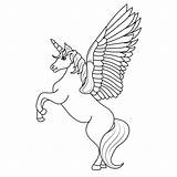 Pegasus coloring page 6 sketch template