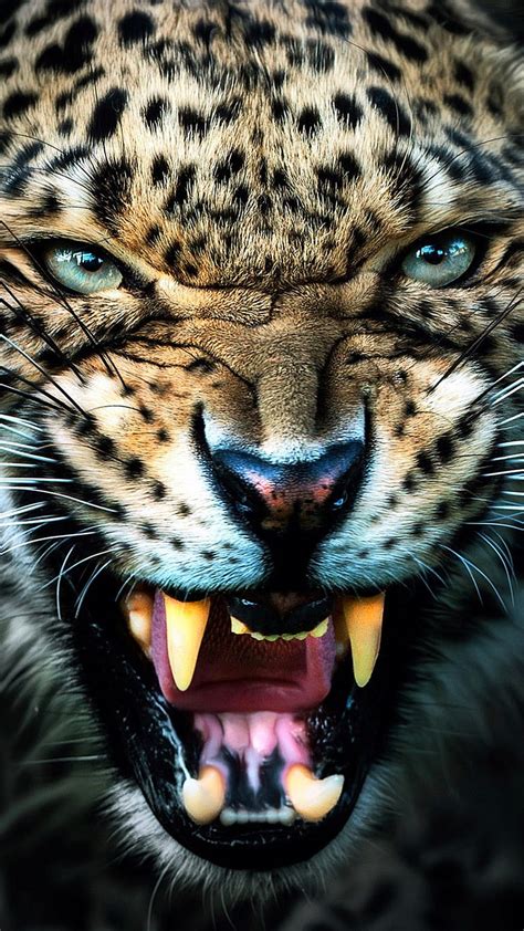 Mad leopard, angry, animal, big cat, face, teeth, wild, HD phone wallpaper | Peakpx