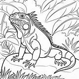 Iguana Printable coloring Page  Download Print Or Color Online For Free sketch template