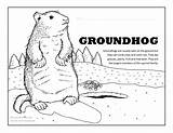 Free Printable Groundhog Day Coloring Pages sketch template