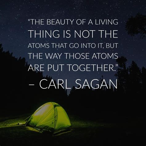 30 Precious Carl Sagan Image Quotes about the Cosmos | Inspirationfeed | Carl sagan quote, Carl ...