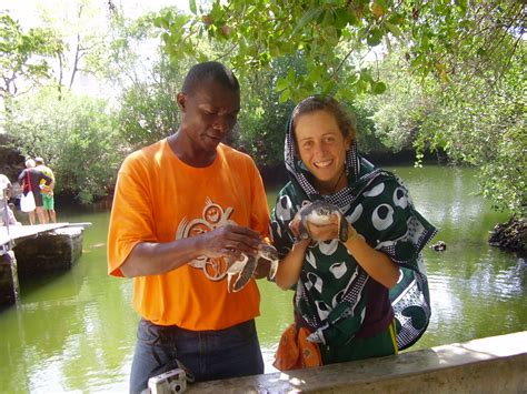 Mnarani Natural Aquarium | Eco & Culture Tours