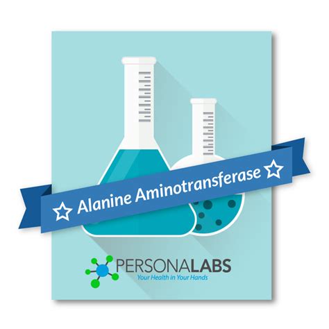 ALT Blood Test | Alanine Aminotransferase Test | Personalabs