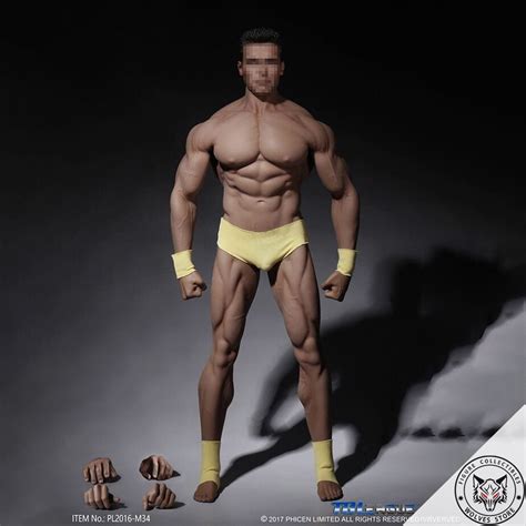 Genuine Phicen TBleague model: 1/6 male Body M34 (custom character ...