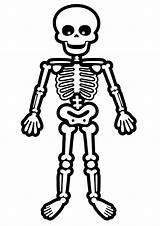 Skeletor Pages Printable Coloring sketch template