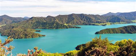 Adventure Cruise Ships in Marlborough Sounds, New Zealand - LiveAboard.com