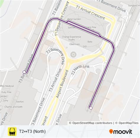 Changi Airport Floor Plan Pdf | Viewfloor.co