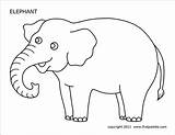 Elephant Pattern Coloring Pages sketch template