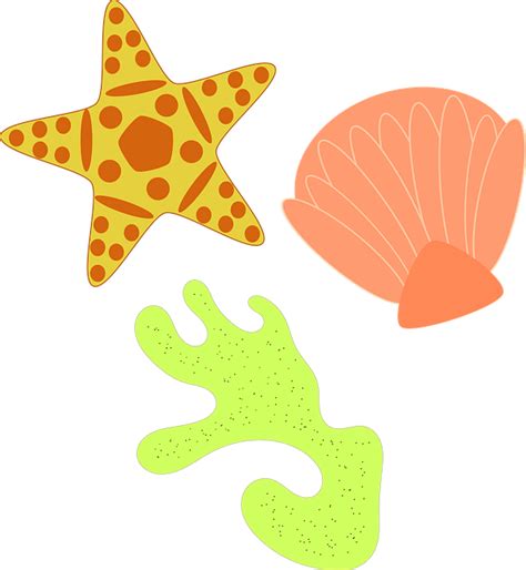 Download Starfish Coral Shells Royalty-Free Stock Illustration Image - Pixabay