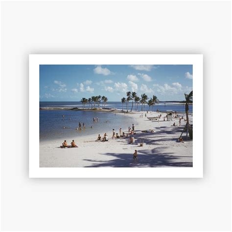 Matheson Hammock Park – Slim Aarons Print