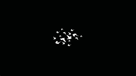 1920x1080 Birds Flying Minimalist Dark 4k Laptop Full HD 1080P ,HD 4k ...