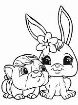 Littlest Pet Shop Coloring Pages sketch template