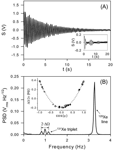 Examples of experimental data. (A). A free-induction decay. The signal ...