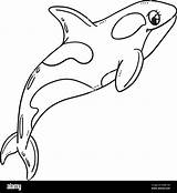 Orca Killer Whale Coloring Page Abc Worksheet sketch template