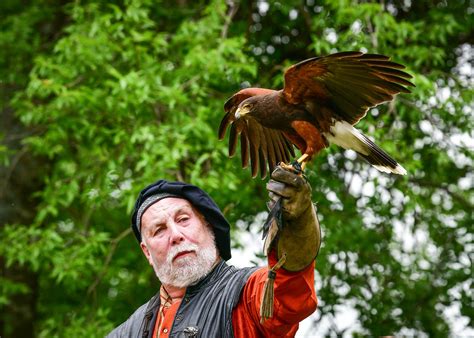 Birds of Prey - Scarborough Faire®