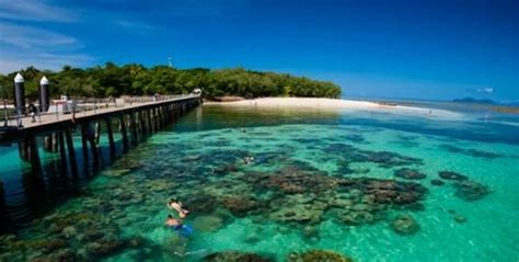 Green Island Resort Diving & Boat Snorkelling Trips - 2018 All You Need to Know Before You Go ...