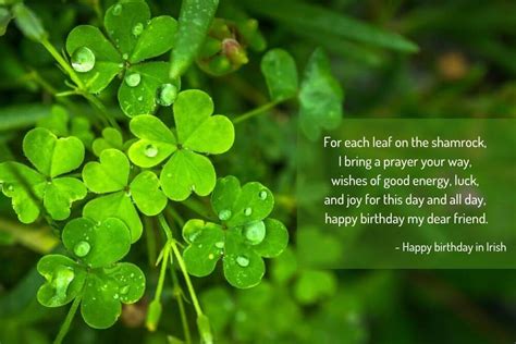 The Best Irish Birthday Blessings and Toasts for Family and Friends