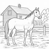 Kids Coloring Page Of A Horse In The Farm That Is Blank And  sketch template