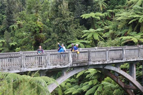 Visit Whanganui National Park: 2024 Travel Guide for Whanganui National ...