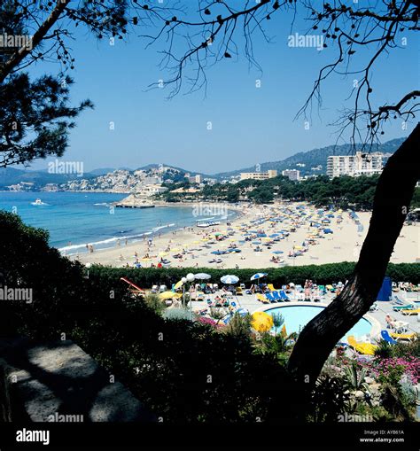 Paguera beach majorca Stock Photo - Alamy