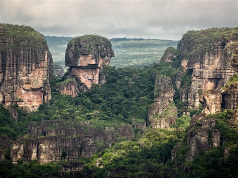 World’s largest protected rainforest declared in Colombia | National ...