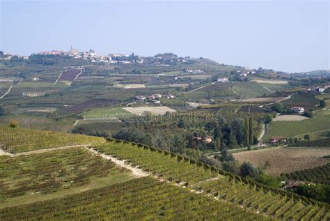 The Vineyards Landscape of the Langhe Hills Stock Image - Image of landscape, harvest: 45632159