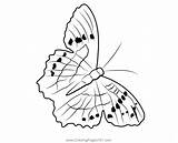 Monarch Butterfly 1 Coloring Page For Kids  Free Butterflies Printable sketch template
