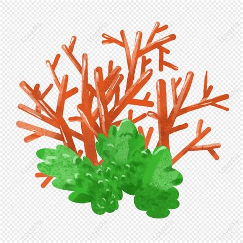 Orange Coral PNG Image And Clipart Image For Free Download - Lovepik | 401273178